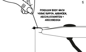Perdigon 5