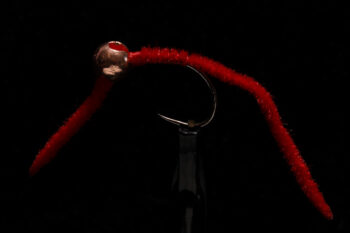 San Juan Jig blood red