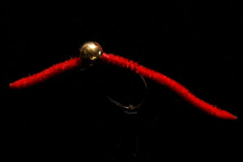 San Juan Jig red