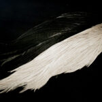 Whiting Combo Starter - black/dun