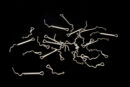 Fish-Skull Articulated Jig Shank (JS)
