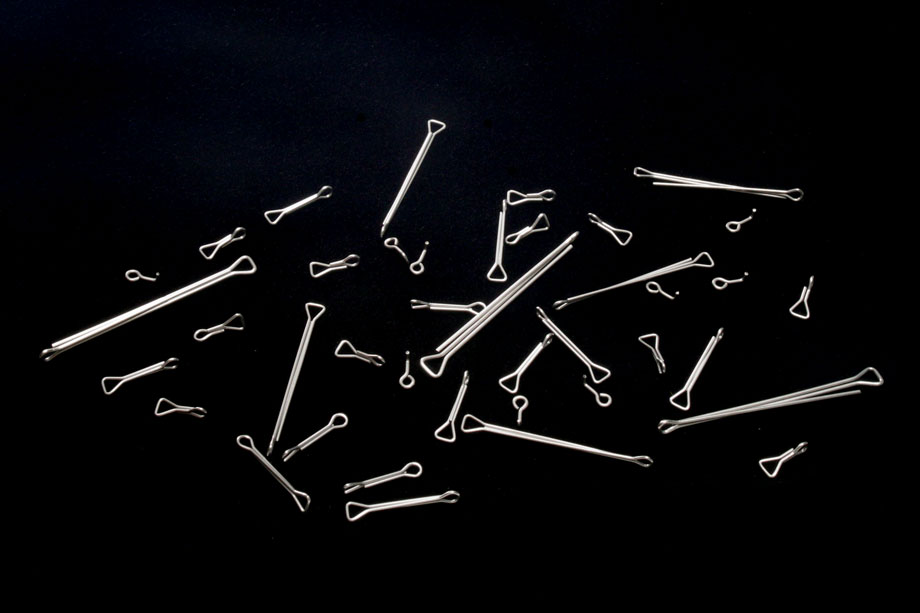 Fish-Skull Next Generation Shank (NGS)