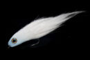 Nase white