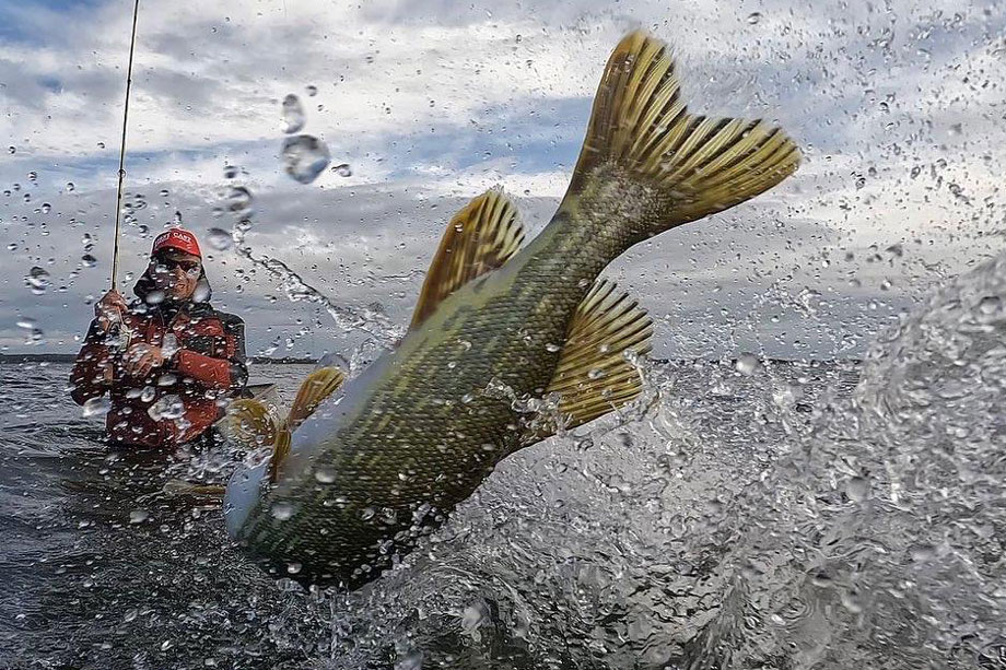 Hechtfischen in Rügen