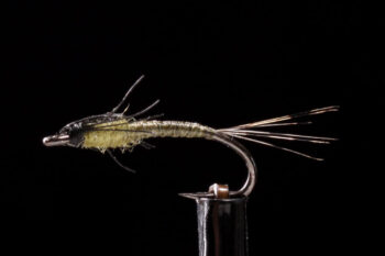 Baetis Nymph olive
