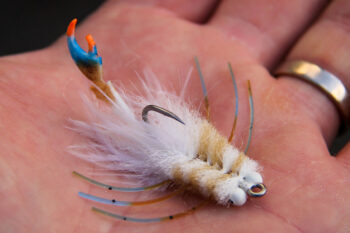 Flats Craft the Claw