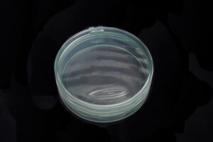 Tacky - Shallow MagPad Fly Puck