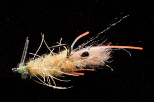 EP Mantis Shrimp tan