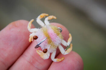 Flats Craft Ketta Crab