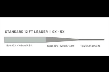 Guideline Standard 12'