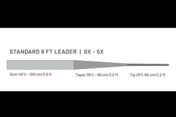 Guideline Standard 9'