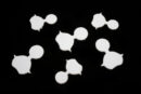 Baked Flies Floating Carapace