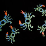 Baked Flies Moeka Crab Legs + Claws - blue/green/red