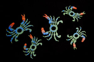 Baked Flies Moeka Crab legs + Claws blue/green/red