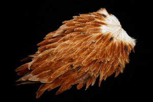 Whiting Hen Saddle brown