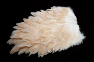 Whiting Hen Saddle light ginger