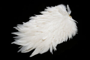 Whiting Hen Saddle white