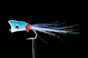 Gnarly Headz Equalizer white/blue