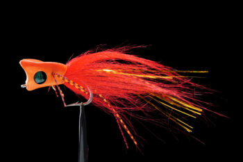 Gnarly Headz Jungle Bug orange/red