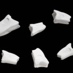 Gnarly Headz Original Popper - white
