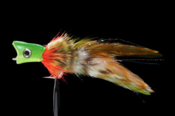 Gnarly Headz Swamp Donkey chartreuse/green