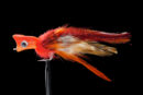 Gnarly Headz Swamp Donkey orange/red