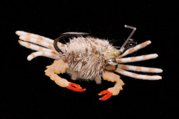 Danger Muffin Crab ghost tan