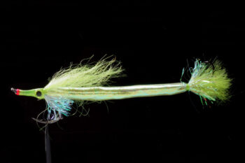 Nightmare Needle Fish