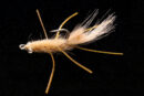 Mantis Shrimp tan